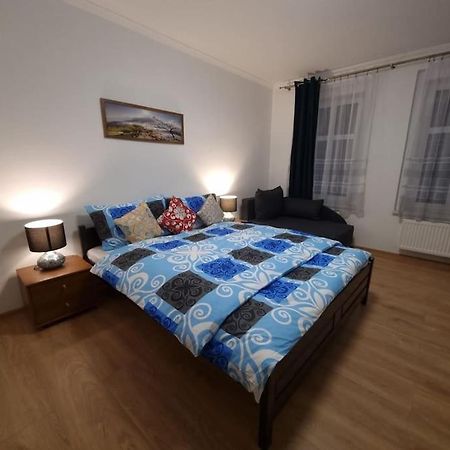 Apartman V Krusnych Horach-Free Parking Яхимов Экстерьер фото