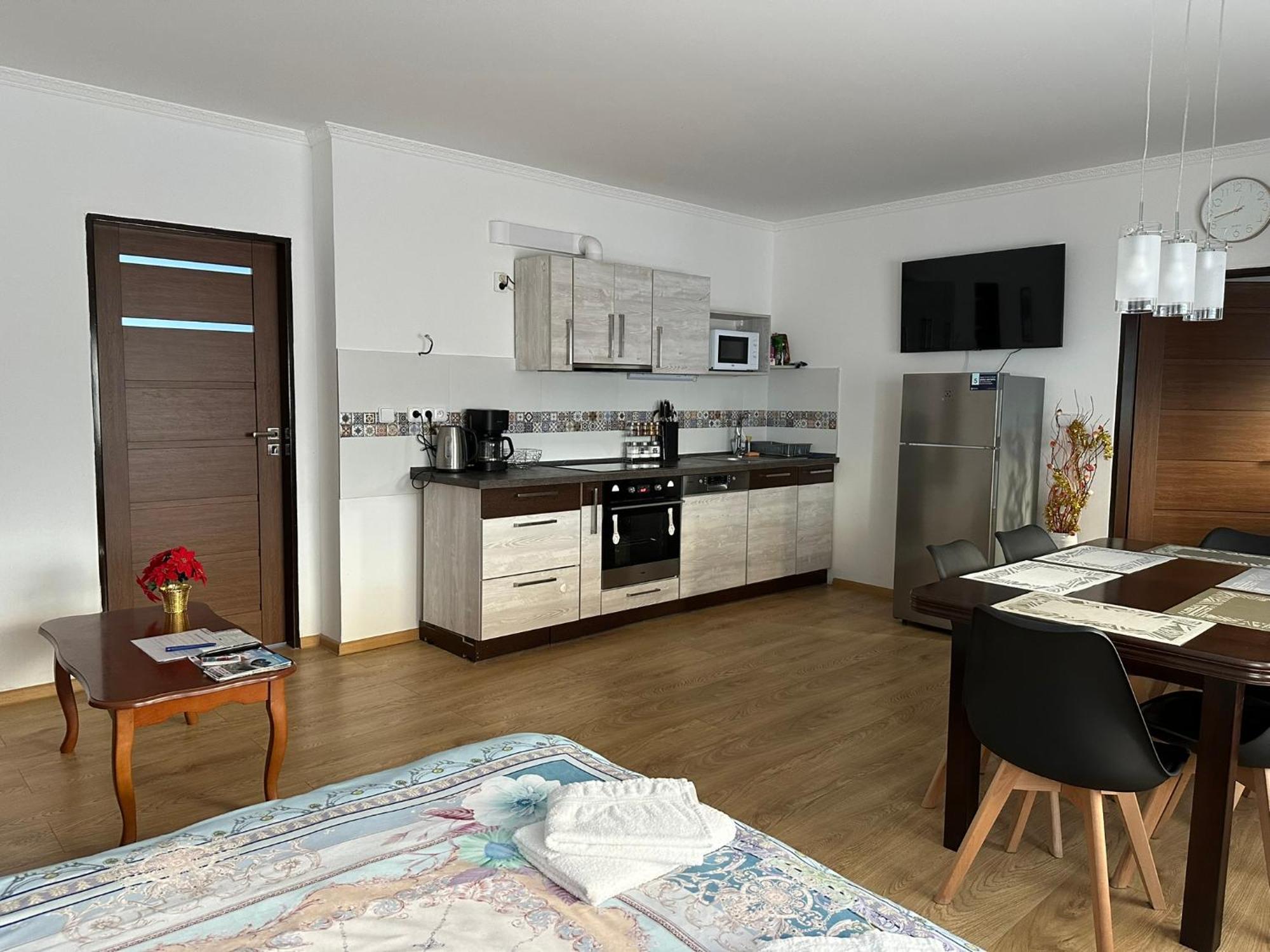 Apartman V Krusnych Horach-Free Parking Яхимов Экстерьер фото